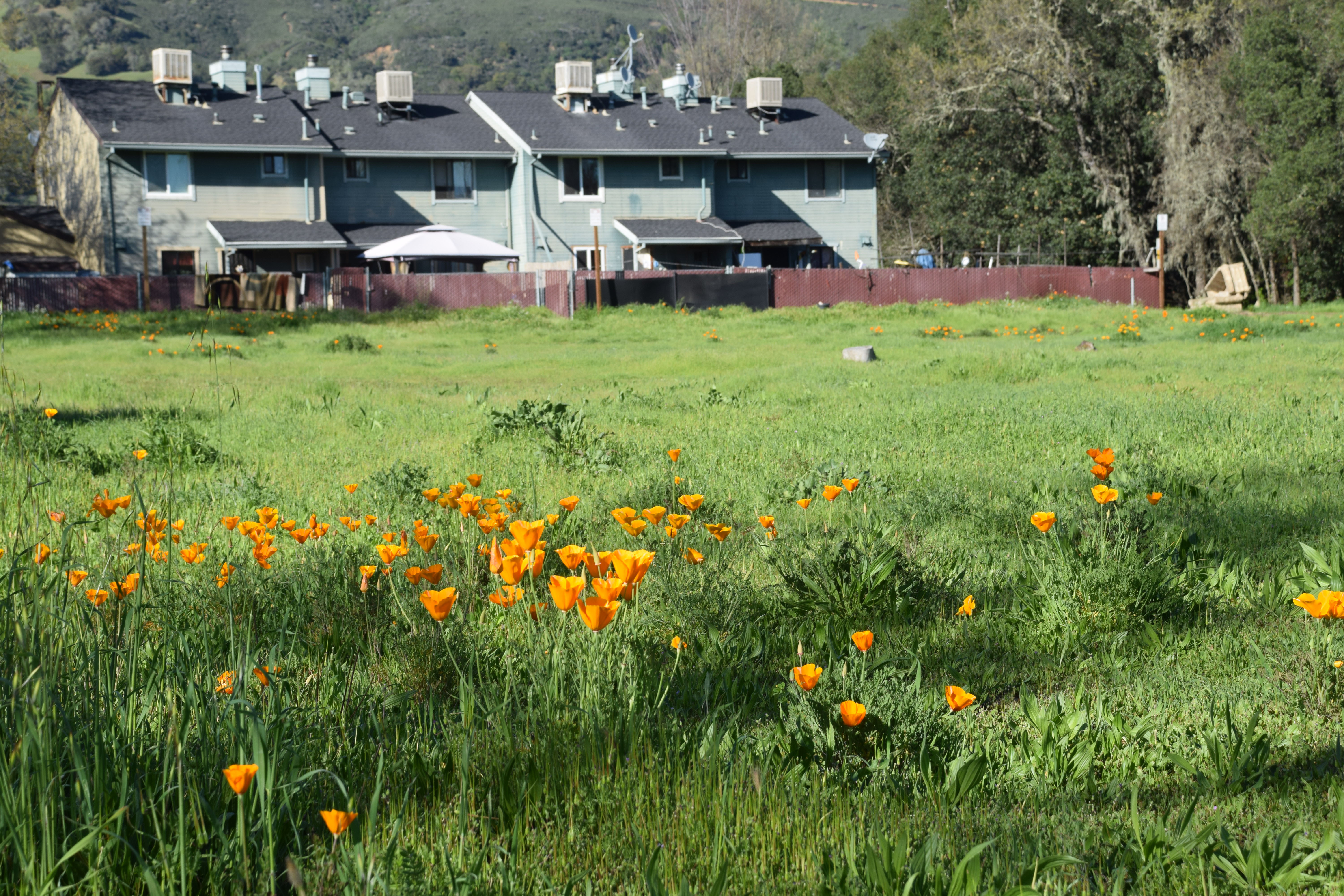 Site of HBPI Education Center